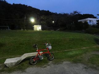 夜の高田公園