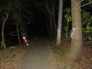 高田公園から先の道