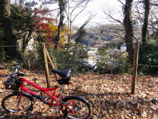 道の右側は王城山