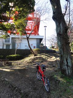 湘南平への道１２
