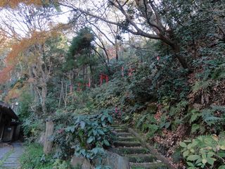 池から鳥居を見上げる
