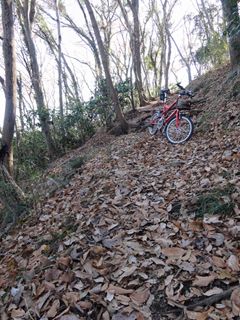 湘南平への道９
