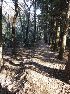 湘南平への道２
