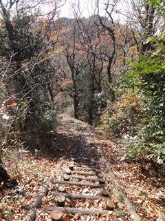 湘南平への道５