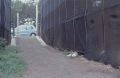 BusStopCat.jpg
