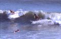 surf23aug.jpg
