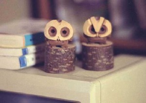owls