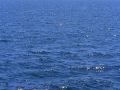 BlueSea.jpg