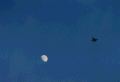 JetMoon.jpg