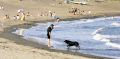 Man&Dog2.jpg