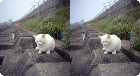 ステレオ写真 平行法